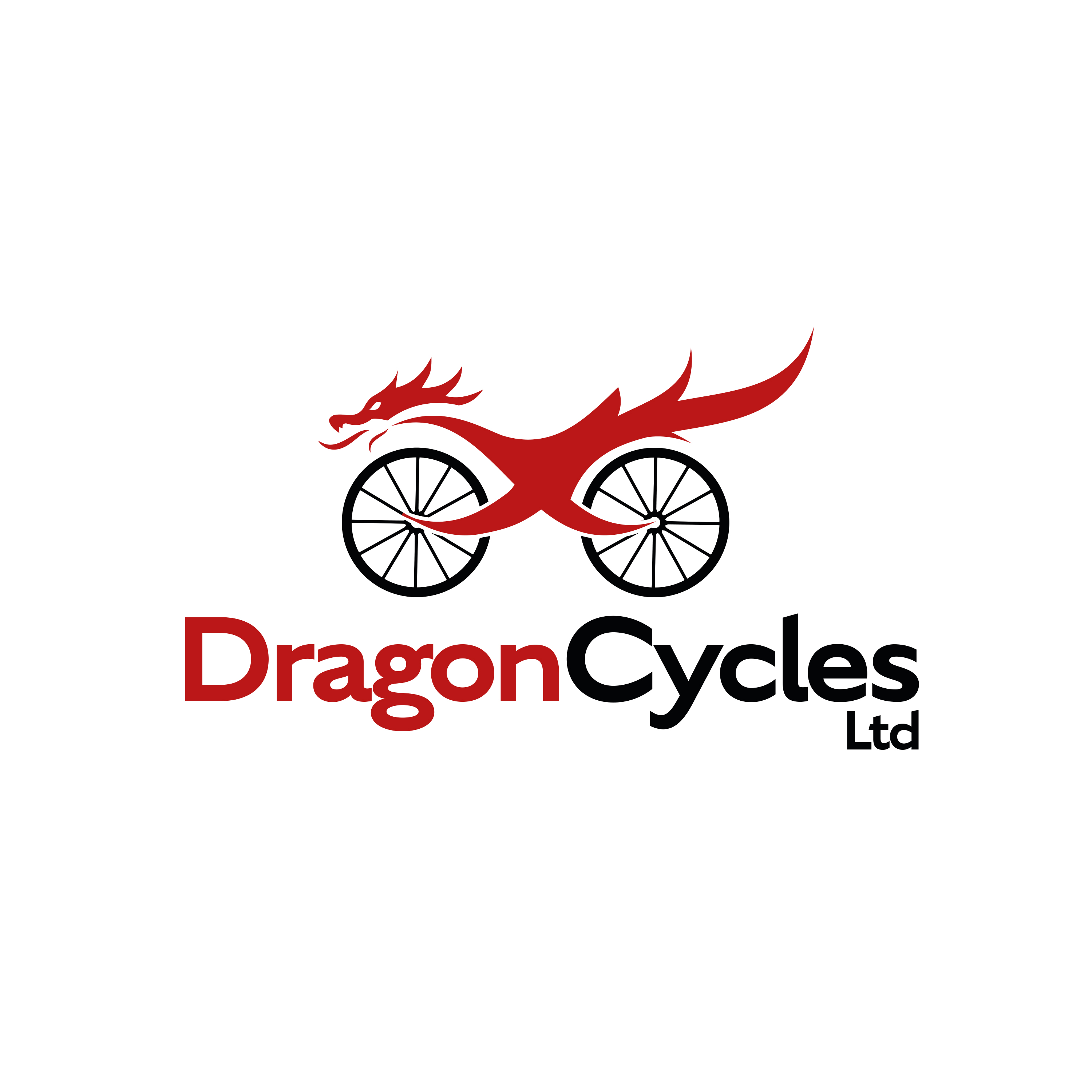 DRAGON CYCLES LIMITED